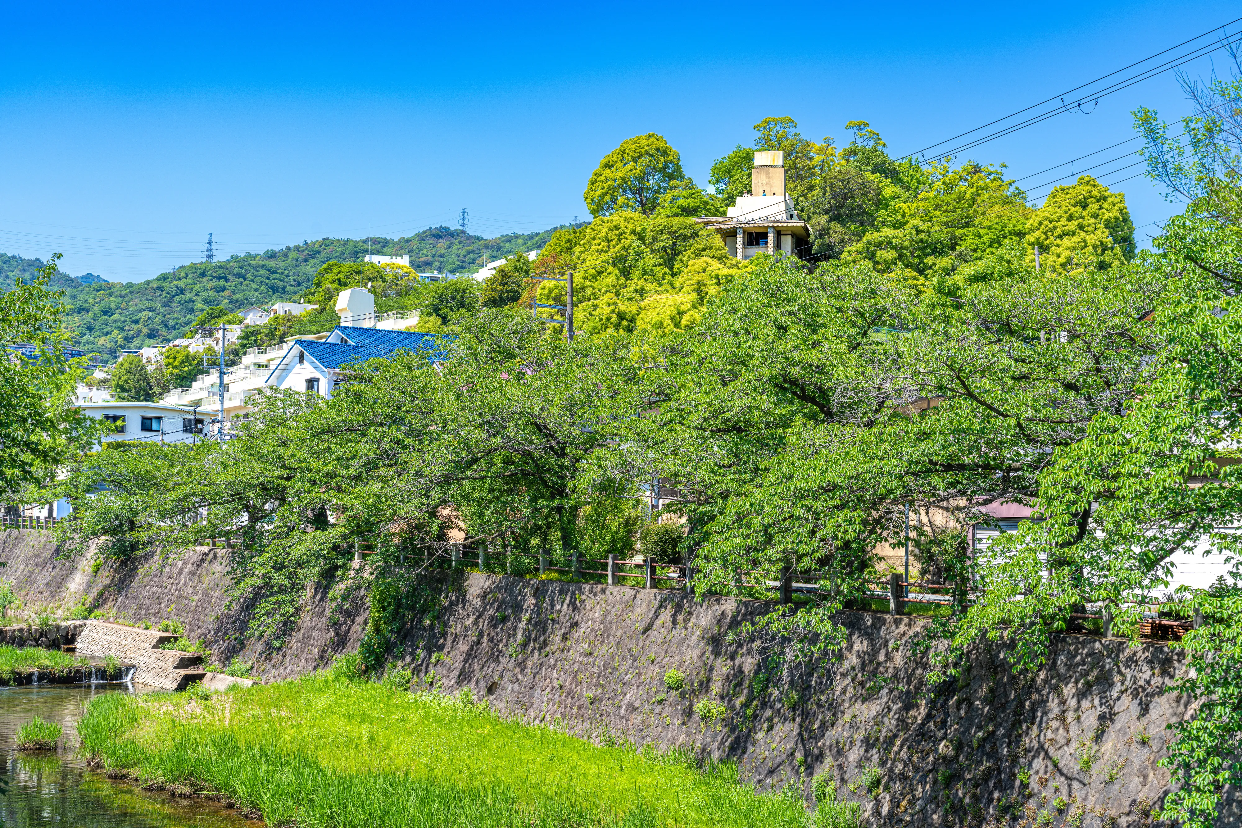 ヤマナカ つるまい店（スーパー）