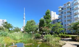 大横川親水公園