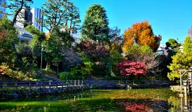 渋谷区立鍋島松濤公園