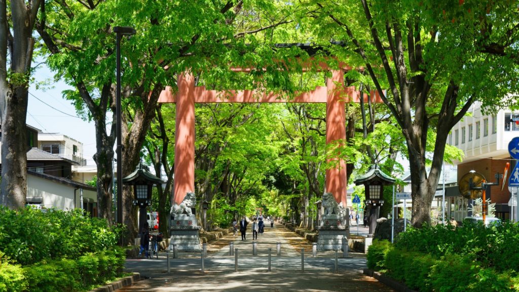 氷川神社前の鳥居と緑