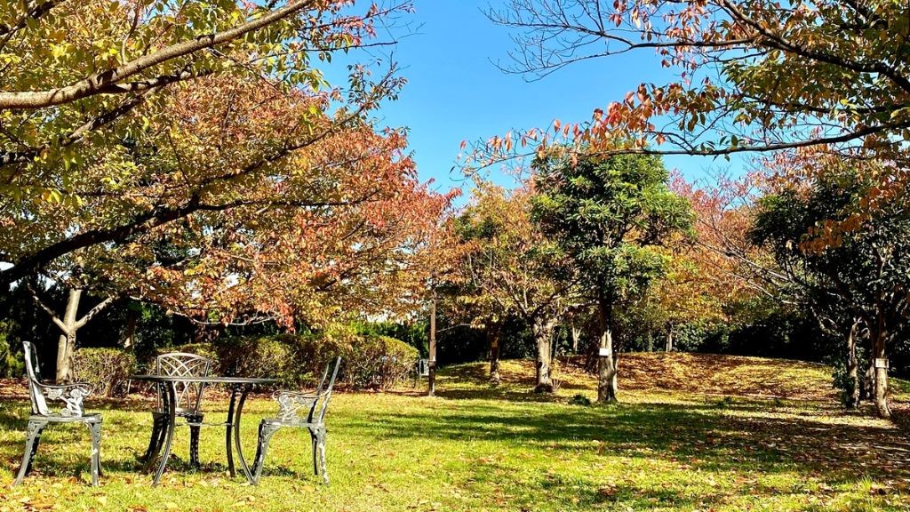 川崎マリエンの紅葉の様子