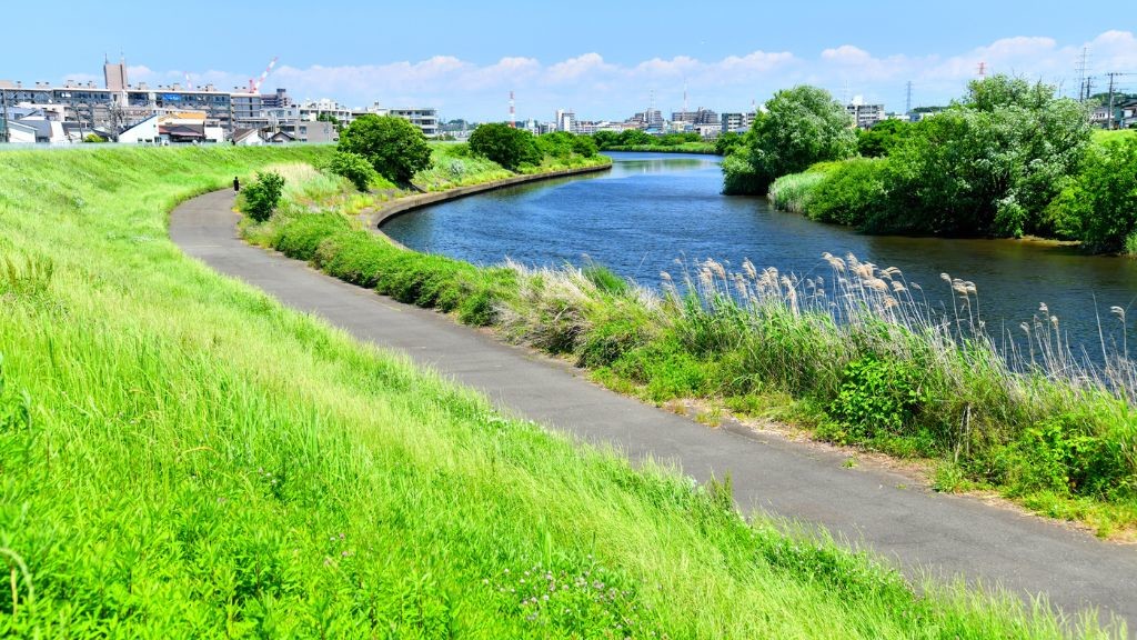 鶴見川沿いの様子