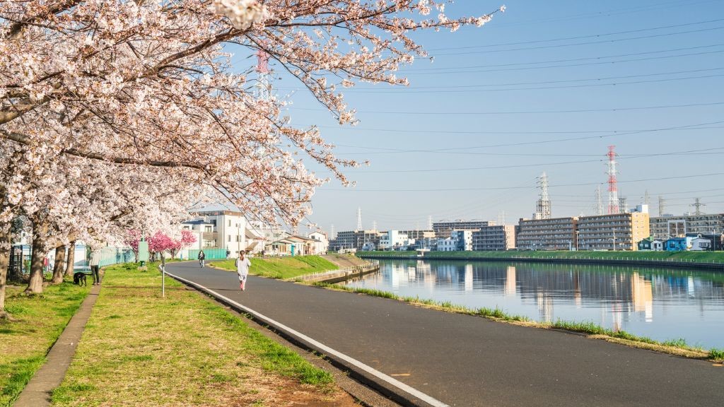 鶴見川沿いを走る人の姿