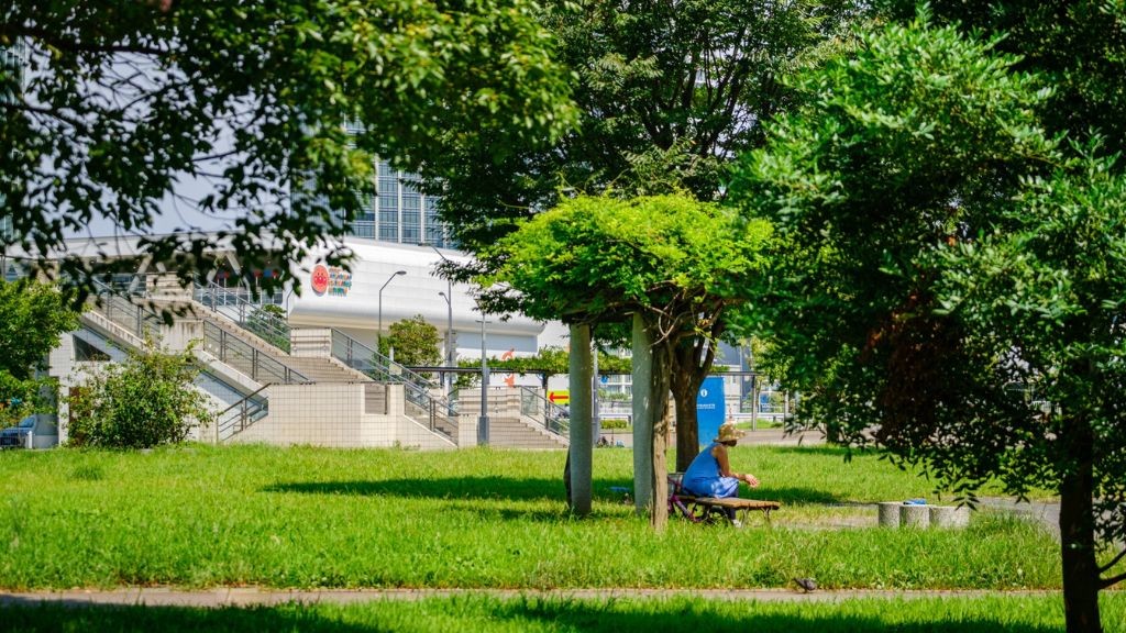 高島中央公園の草むら