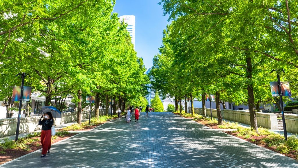 木々が青々と茂るグランモール軸
