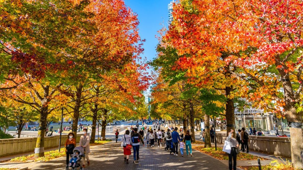 紅葉に色づくグランモール軸