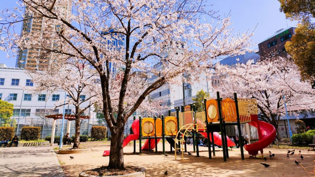 春の難波中公園のようす