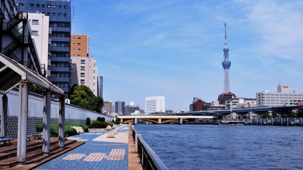 隅田川沿いからスカイツリーを眺める
