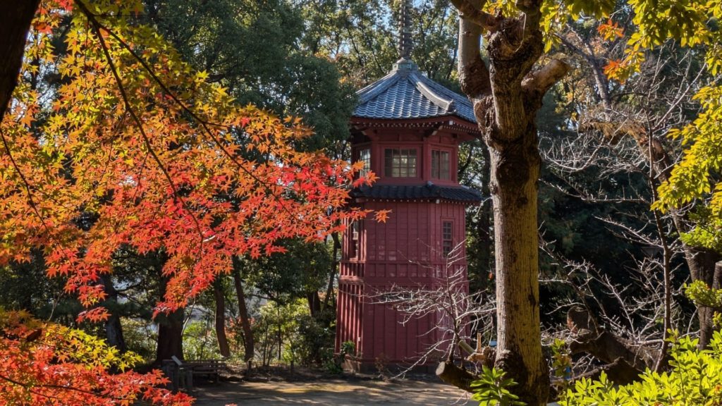哲学堂公園　秋
