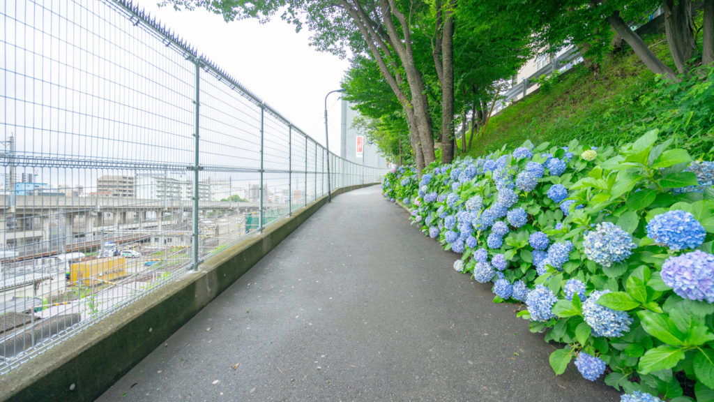 田端駅南口から伸びる坂