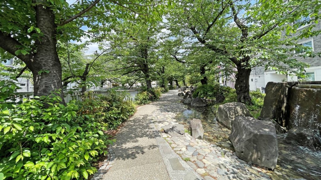 神田上水公園の遊歩道の様子