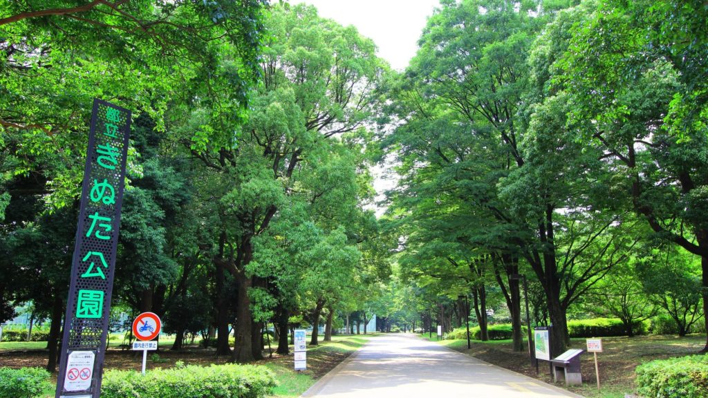 砧公園の入り口