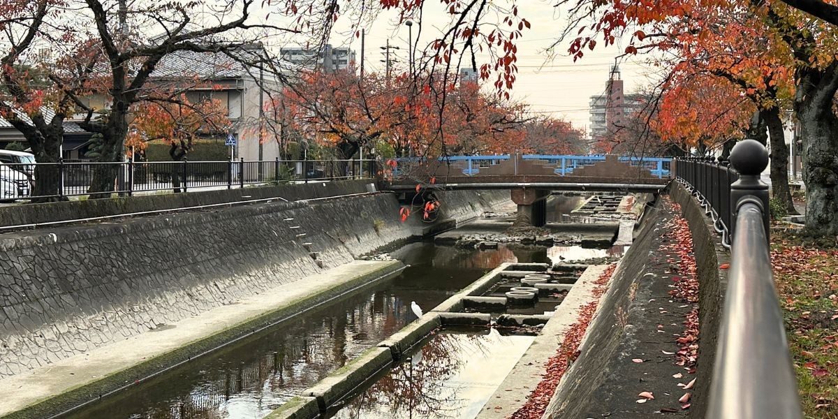 一宮ってどんな街？何がある？モーニング文化発祥の地、一宮の魅力を大解剖。