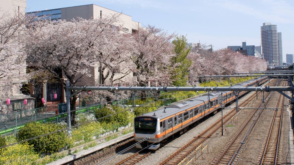 東中野駅付近で撮影された鉄道と桜の写真