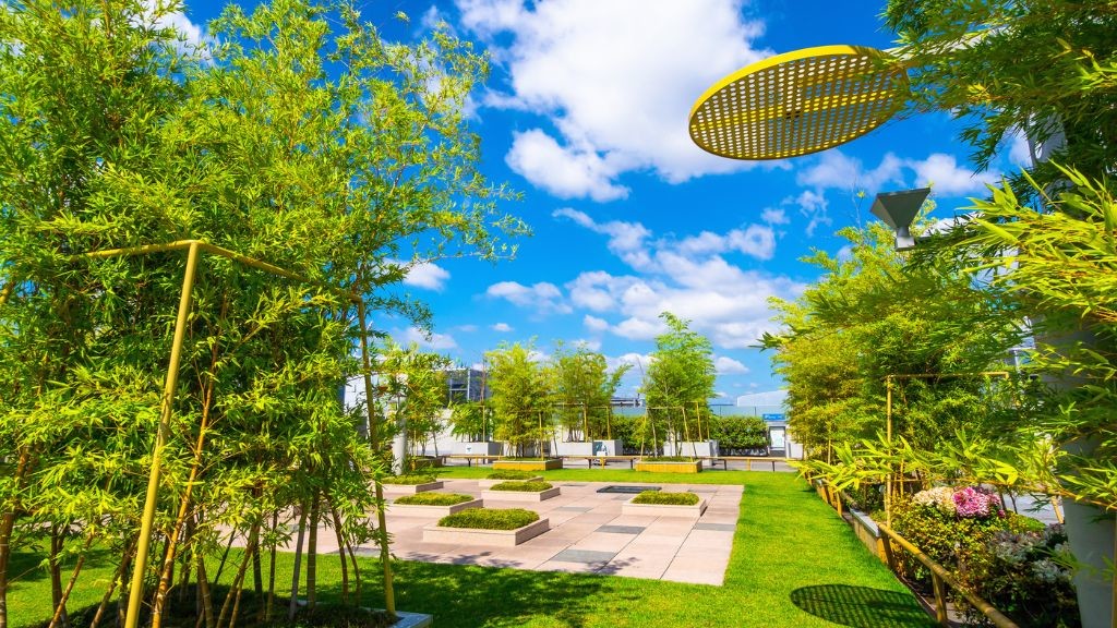 京都駅ビルにある葉っぴいてらすの様子