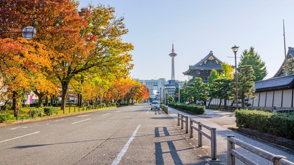 東本願寺前の通りの秋の様子