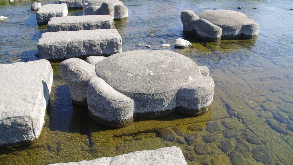 鴨川の飛び石がカメの形をしている