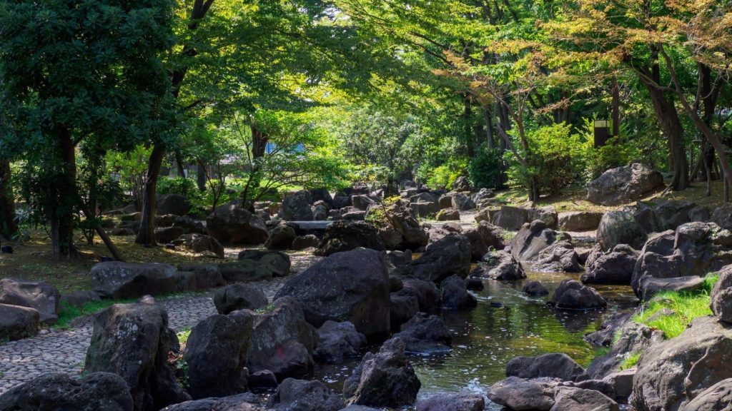 大横川親水公園内の、木々と岩場に囲まれた森のようなエリア