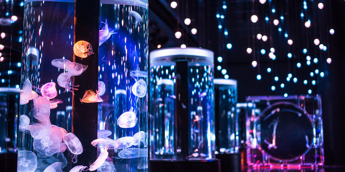 品川ってどんな街？何がある？働く街だからこそ癒しがある！映画も水族館も！