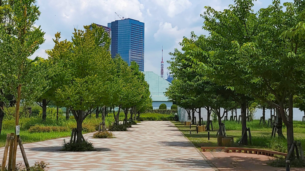 港区立芝浦中央公園と東京タワー