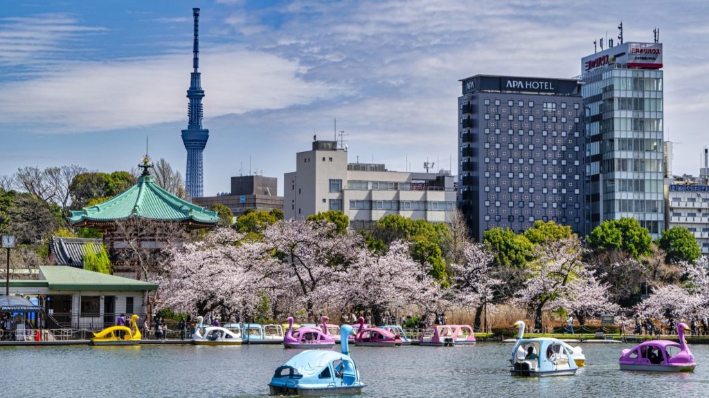 上野公園のボート池に浮かぶスワンボート